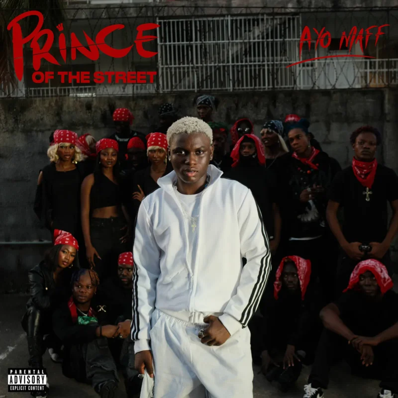 Cover of album 'Prince of the Street'