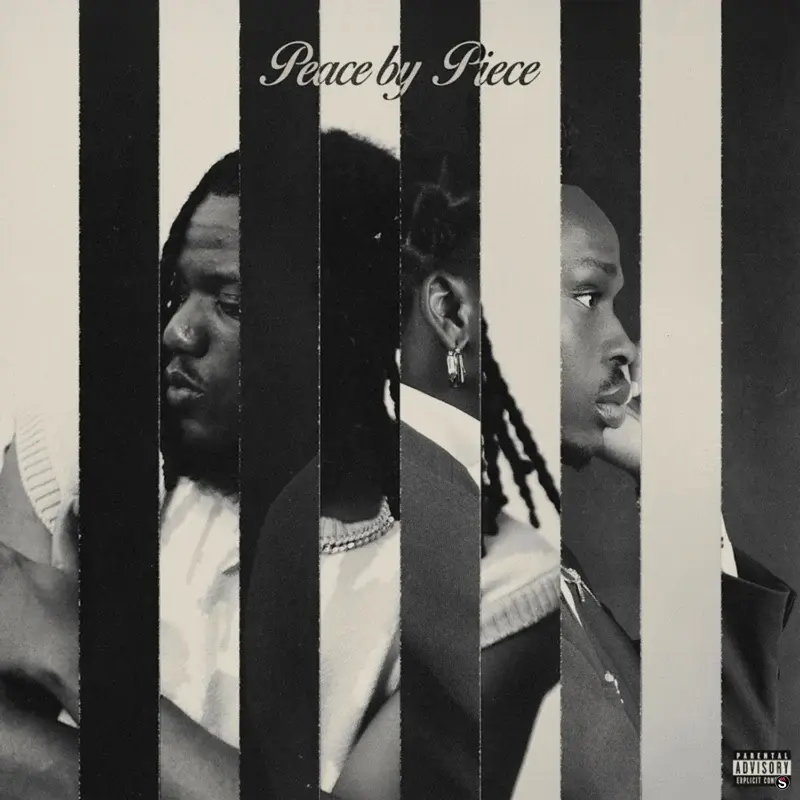Cover of album 'Peace by Piece EP' by Fireboy DML