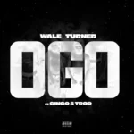 Ogo Album Cover
