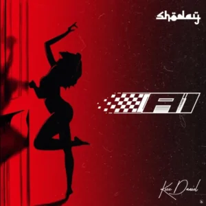 A1 Album Cover