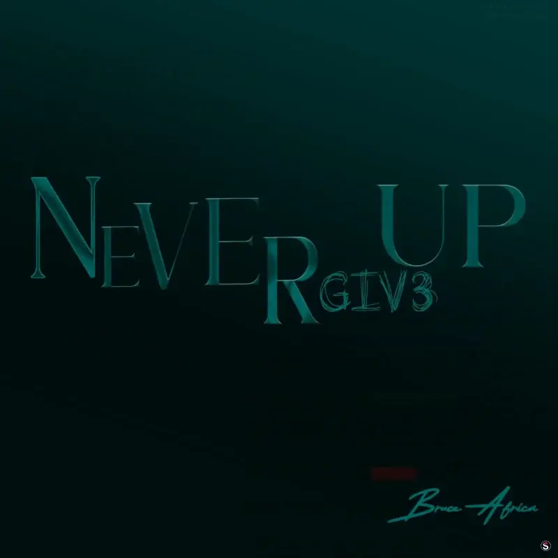 Never Give Up by Bruce Africa cover art