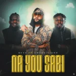 Na You Sabi Album Cover