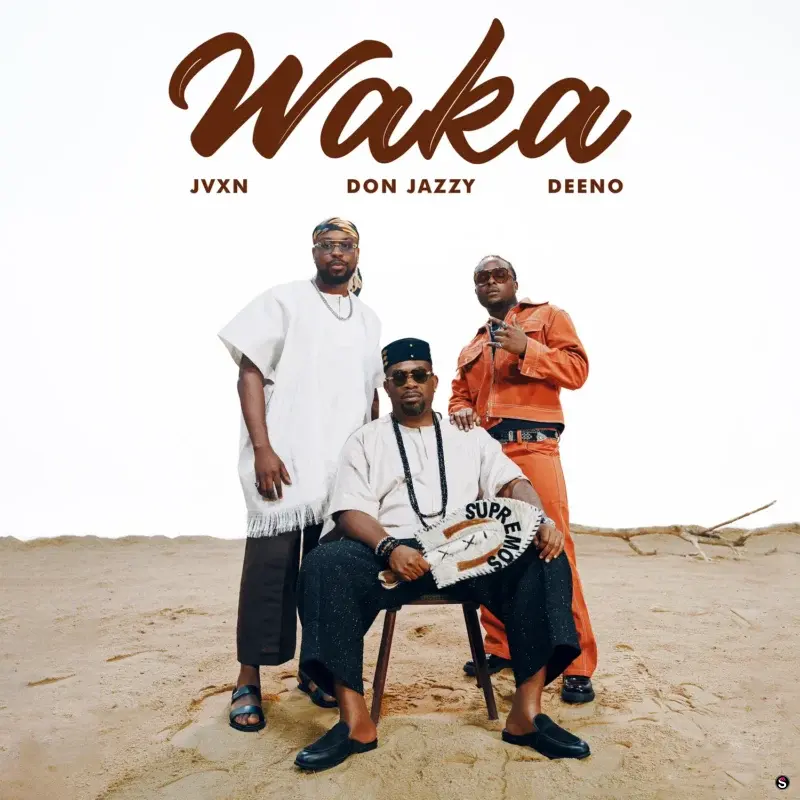 Waka by Mavins cover art