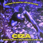 Shona Phantsi / On Da Floor Album Cover