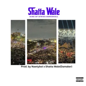 ShattaFest Album Cover