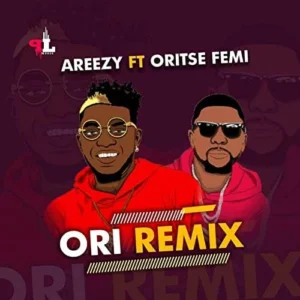 Ori (Remix) Album Cover