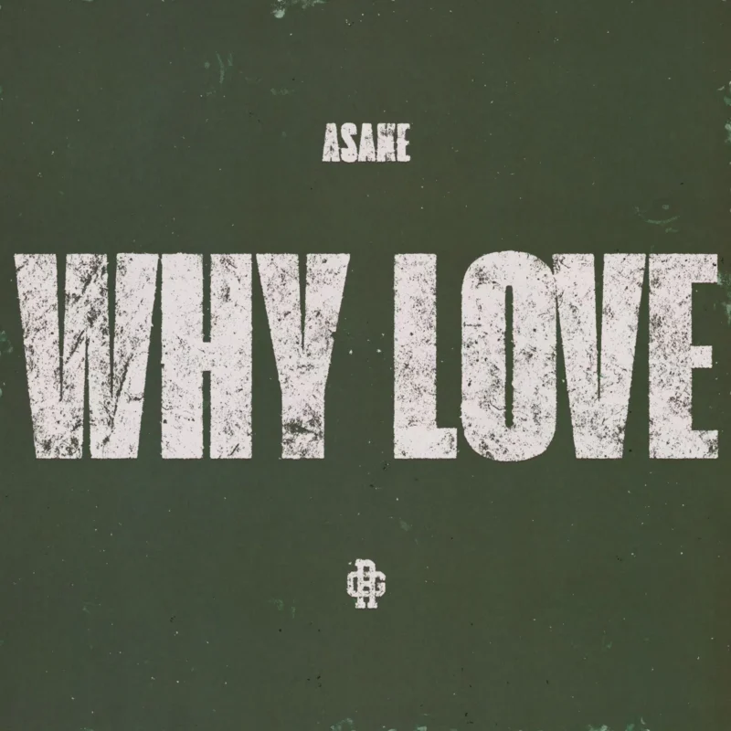 WHY LOVE by Asake cover art