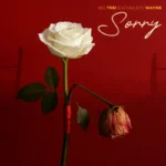 Sorry Cover Art