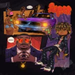 Super Cover Art