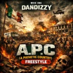 A.P.C (A Pathetic Country) [Freestyle] Album Cover