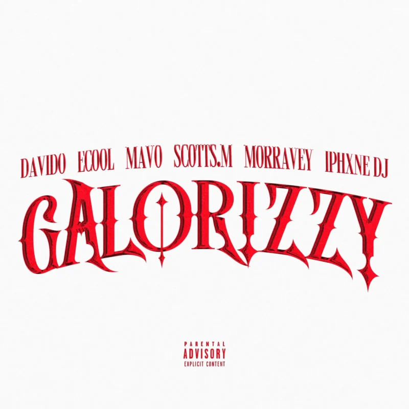Galorizzy by Davido cover art