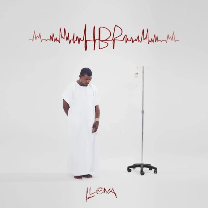 HBP by Llona cover art