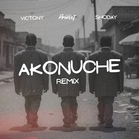 Akonuche (Remix) by Priesst cover art