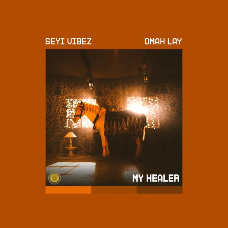 My Healer by Seyi Vibez cover art