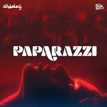 Paparazzi by Shoday cover art