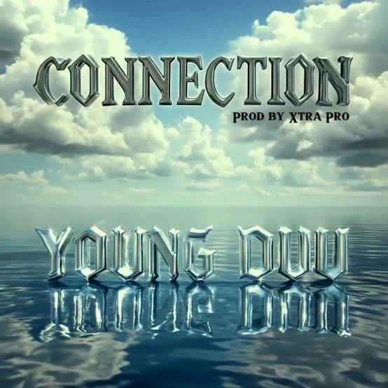Connection by Young Duu cover art