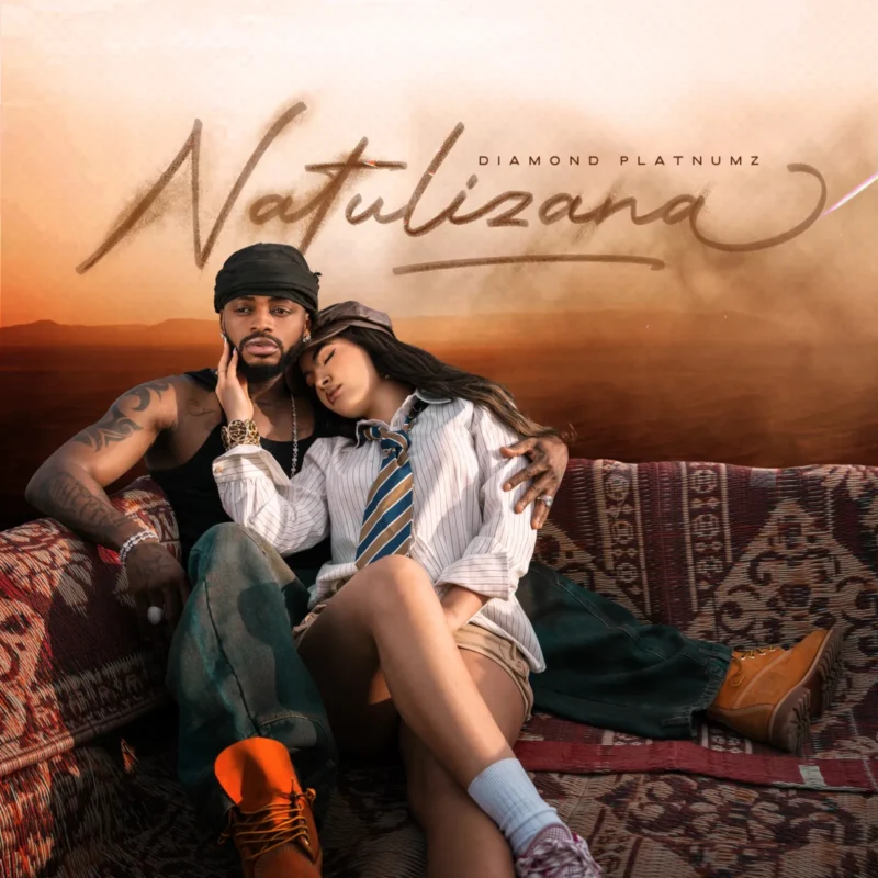 Natulizana by Diamond Platnumz cover art