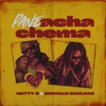 Top Zimbabwean Songs