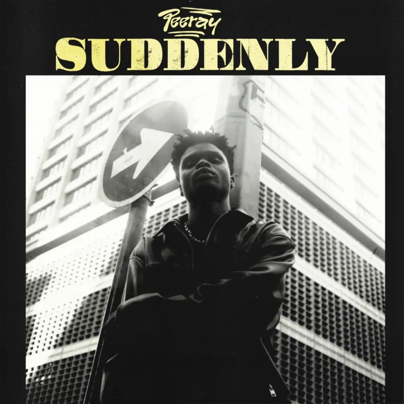 Suddenly by Peeray cover art