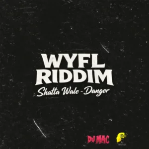 Danger Album Cover