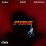 Fire Album Cover