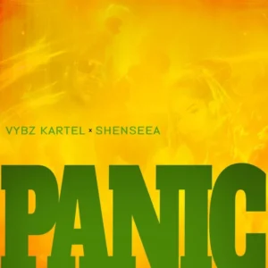 Artist Vybz Kartel