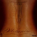 Melanin Album Cover