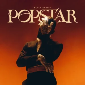 PopStar Album Cover