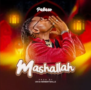 Artist Pallaso