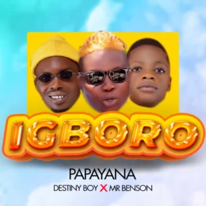 Igboro Album Cover