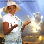 Opin Irin Ajo (Remix) Cover Art