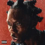 FINE SHYT Art Cover