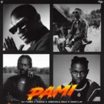 PAMI Album Cover