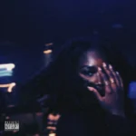 fine ting (fine $hit) Art Cover