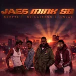 MINK SB Cover