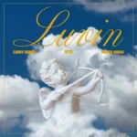 Luvin Album Cover