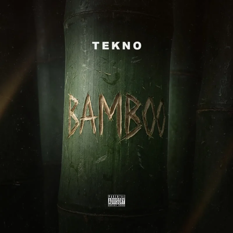 Bamboo by Tekno cover art