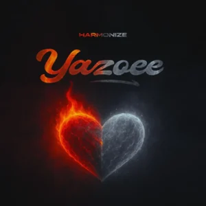 Artist Harmonize
