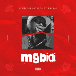 Mgbidi Album Cover