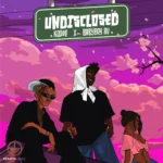 UNDISCLOSED Cover Art