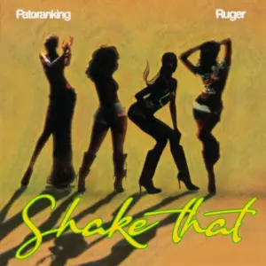 Shake That Album Cover