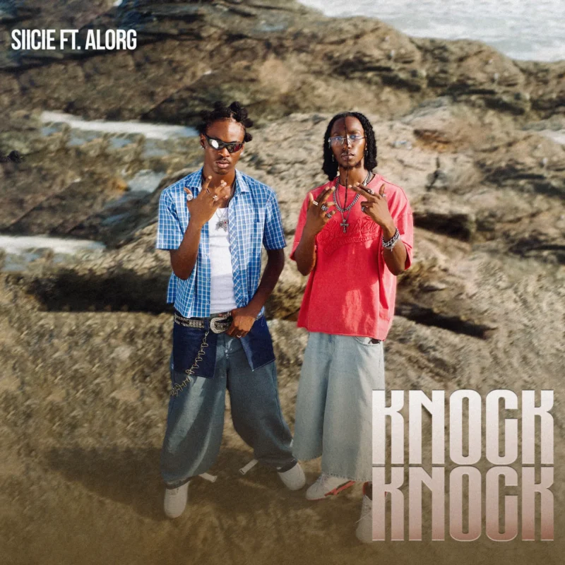 Knock Knock by Siicie cover art