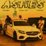 Ashes Cover
