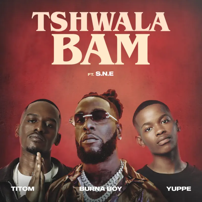 Tshwala Bam (Remix) by TitoM cover art