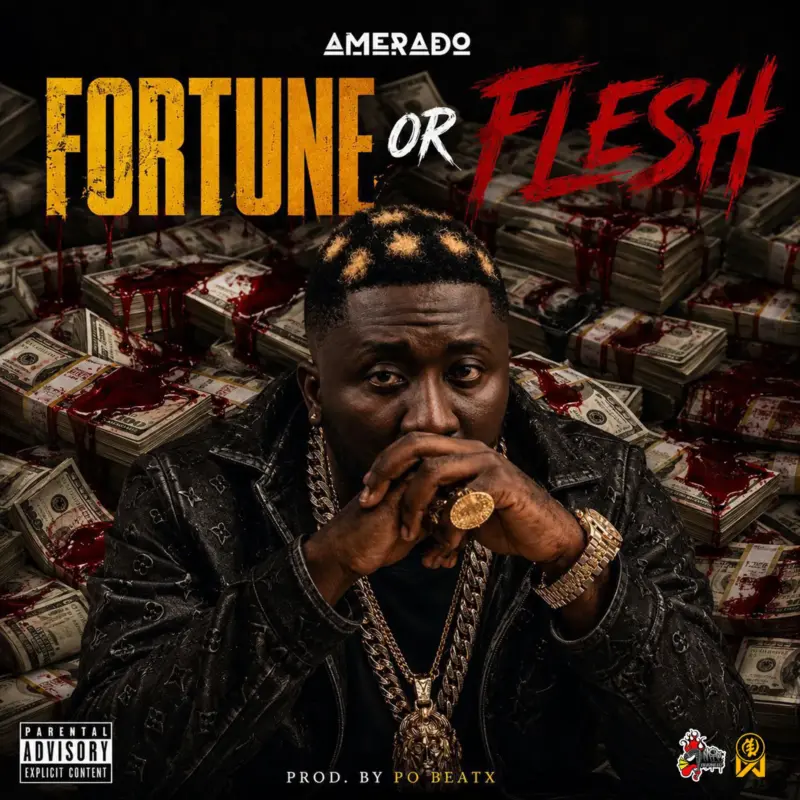 Fortune or Flesh by Amerado cover art