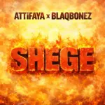 Shege Art Cover