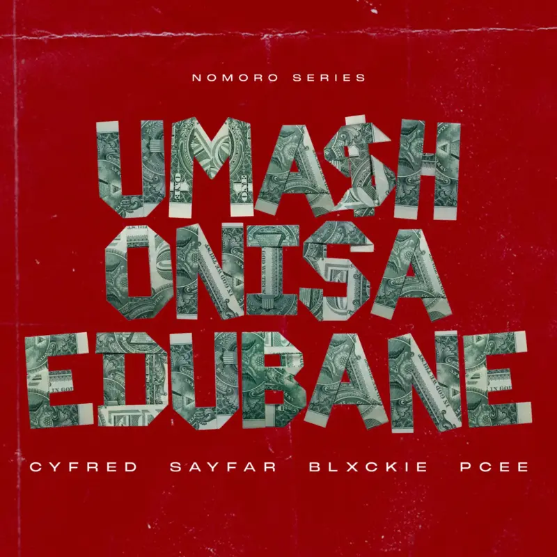 Mashonisa eDubane by Cyfred cover art