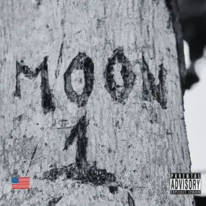 Artist EF Moon