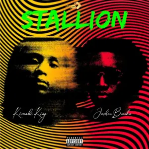 Stallion Album Cover