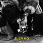 Allergies Art Cover